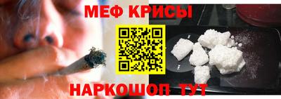 индика Камышлов