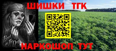 индика Камышлов