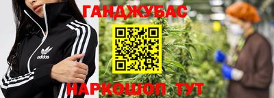 индика Камышлов
