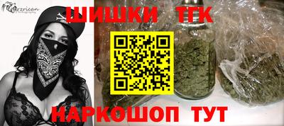 индика Камышлов
