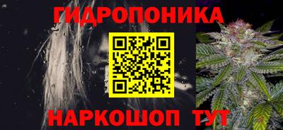 индика Камышлов