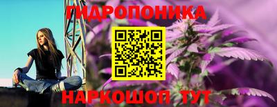 индика Камышлов