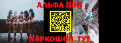 индика Камышлов