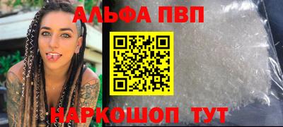индика Камышлов