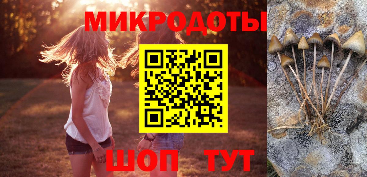 Галлюциногенные грибы MAGIC MUSHROOMS Ульяновск