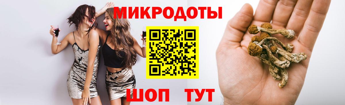 купить наркоту  Псилоцибиновые грибы MAGIC MUSHROOMS  Ульяновск  Вход с VPN  Галлюциногенные грибы GOLDEN TEACHER 